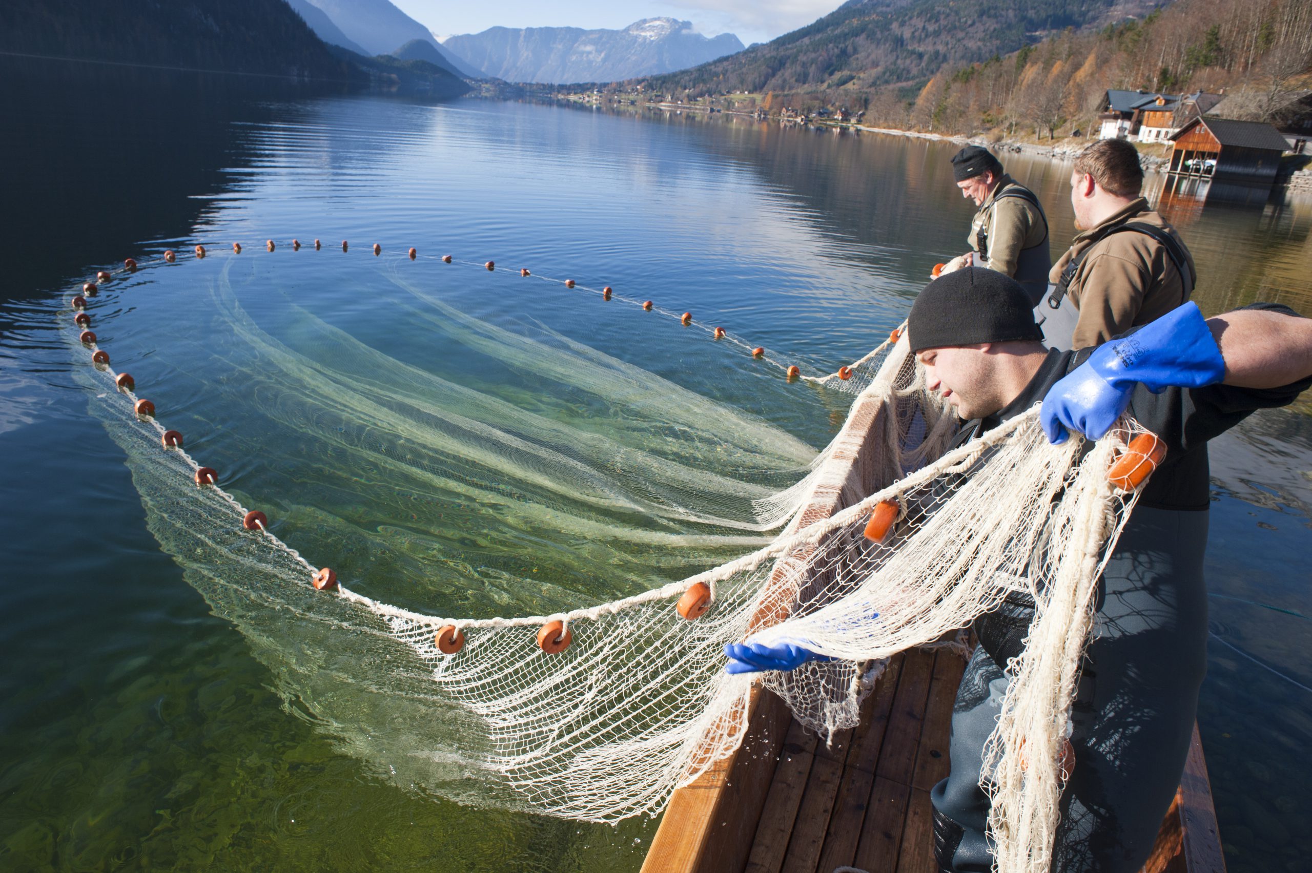 Fischer beim Einholen des Netzes am Grundlsee (c) Wolfgang Simlinger