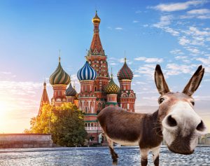 Red Square in Moscow & Mule
