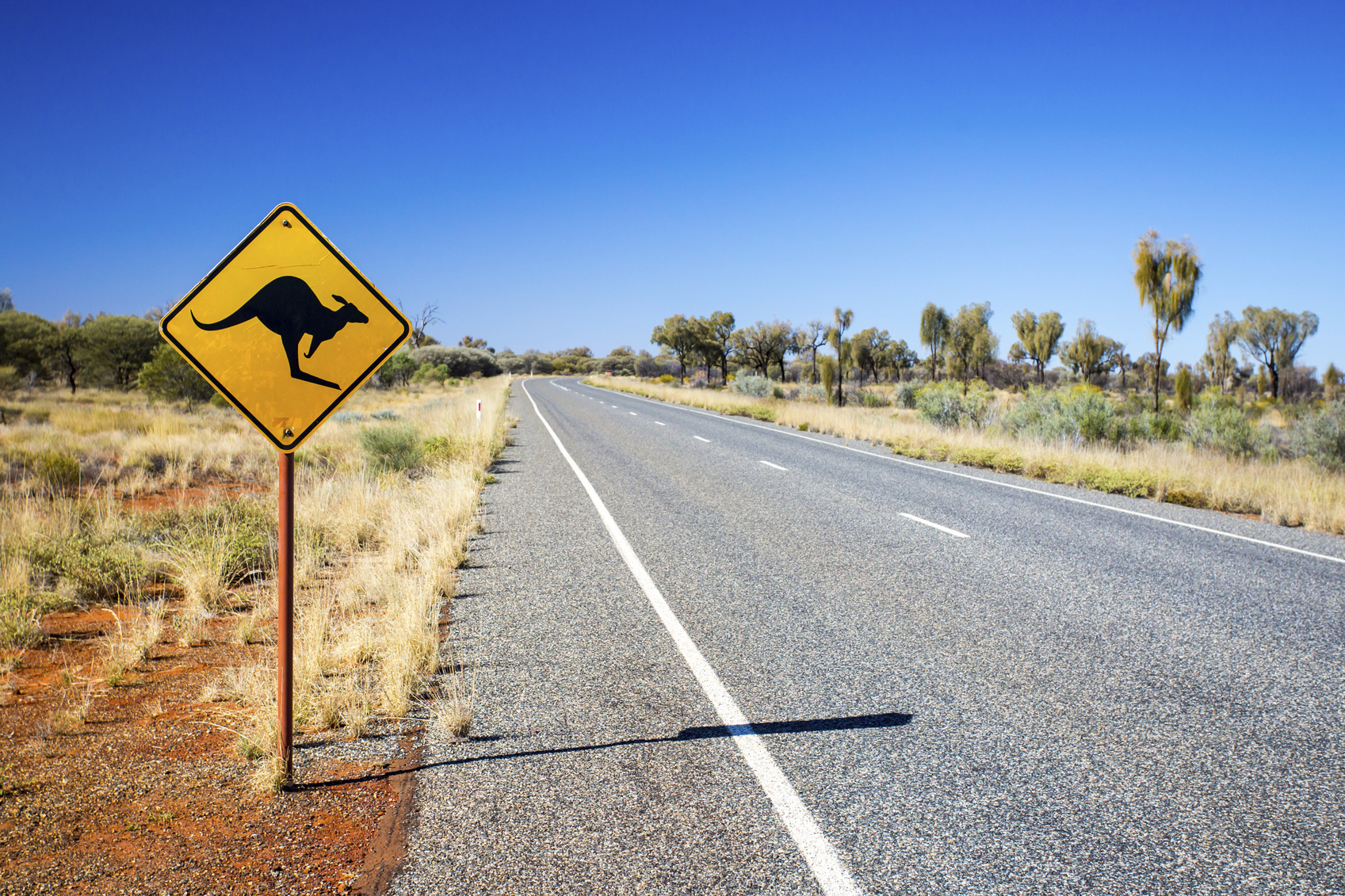 Straße in Australien mit Känguruschild