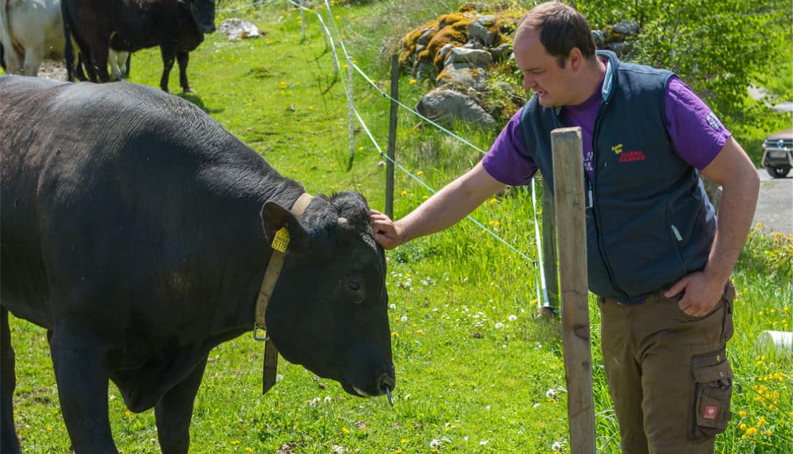 Berger Wagyu Header